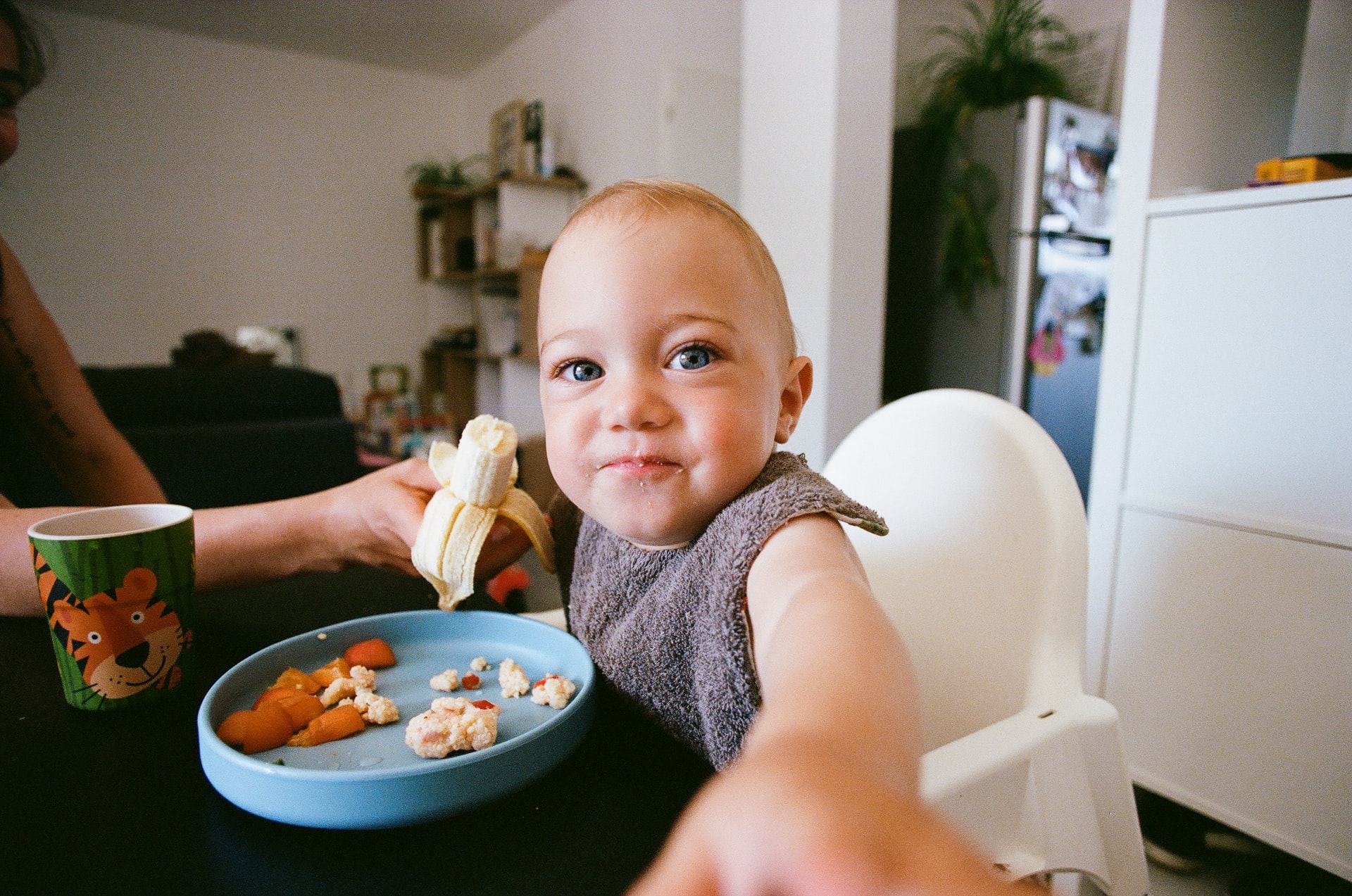 Allergies alimentaires : comment introduire les aliments à votre bébé ?